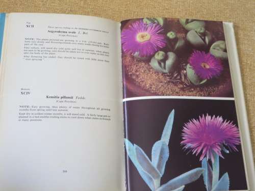 CACTI and OTHER SUCCULENTS VOL TWO  by Edgar Lamb  (Illustrated Reference)