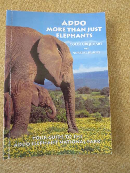 ADDO: MORE THAN JUST ELEPHANTS  by Colin Urquhart and Norbert Klages