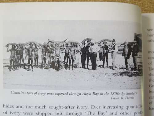 ADDO: MORE THAN JUST ELEPHANTS  by Colin Urquhart and Norbert Klages