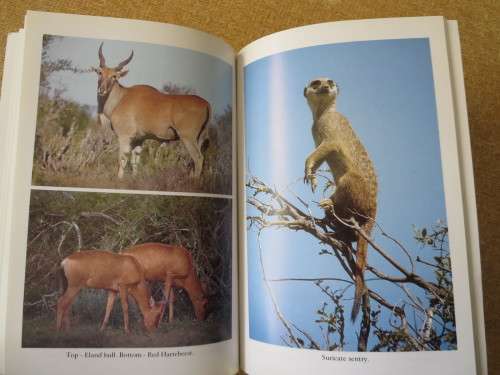 ADDO: MORE THAN JUST ELEPHANTS  by Colin Urquhart and Norbert Klages