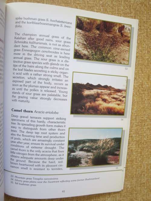 AUGRABIES SPLENDOUR  by Pieter van der Walt