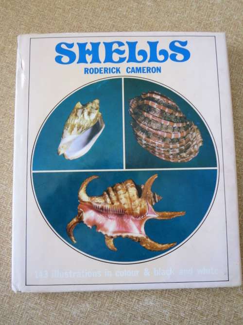 SHELLS  by Roderick Cameron