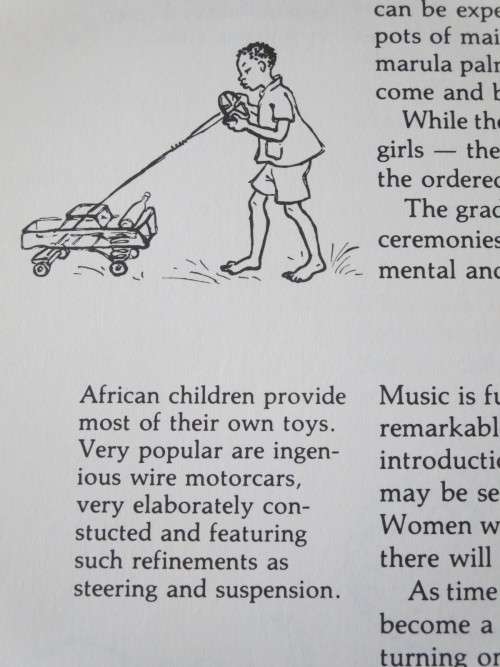 AFRICAN  HERITAGE  by Barbara Tyrrell and Peter Jurgens