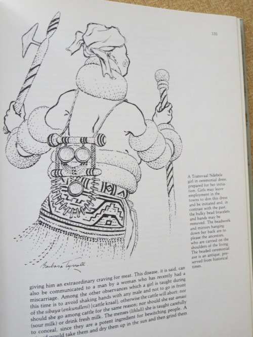 AFRICAN  HERITAGE  by Barbara Tyrrell and Peter Jurgens