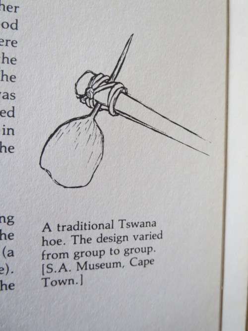 AFRICAN  HERITAGE  by Barbara Tyrrell and Peter Jurgens