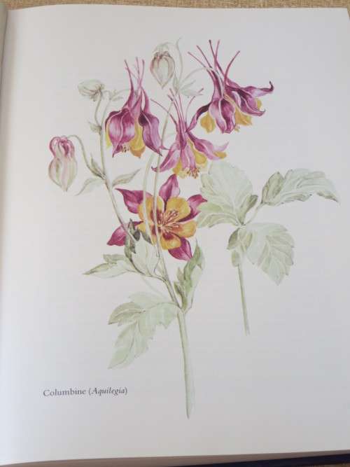 BY ANY OTHER NAME - The Story of Garden Flowers BY Gladys Lucas