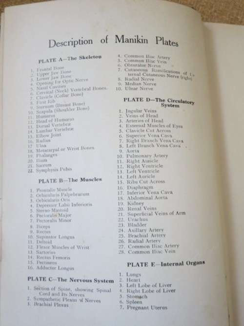 LADIES` HANDBOOK OF HOME TREATMENT (ILLUSTRATED) by Eulalia S. Richards and S. Edin