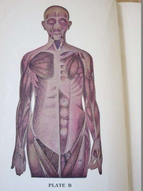 LADIES` HANDBOOK OF HOME TREATMENT (ILLUSTRATED) by Eulalia S. Richards and S. Edin