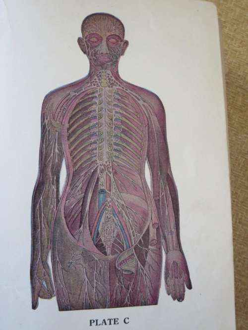 LADIES` HANDBOOK OF HOME TREATMENT (ILLUSTRATED) by Eulalia S. Richards and S. Edin