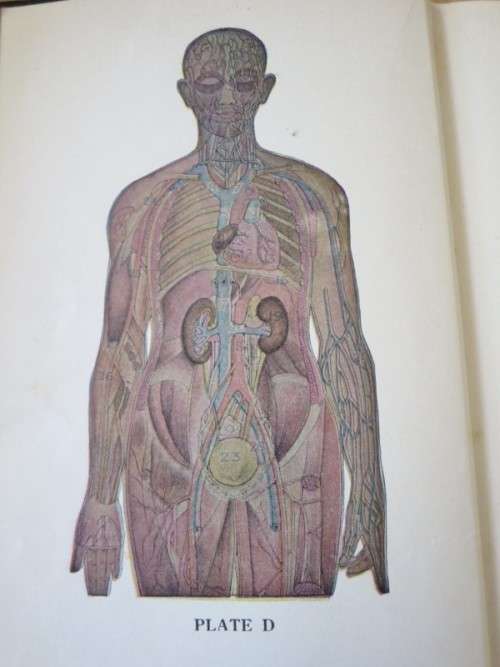 LADIES` HANDBOOK OF HOME TREATMENT (ILLUSTRATED) by Eulalia S. Richards and S. Edin