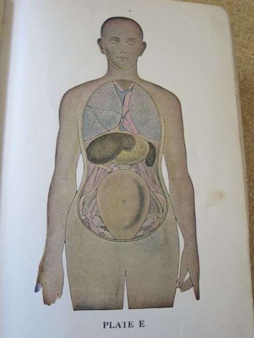 LADIES` HANDBOOK OF HOME TREATMENT (ILLUSTRATED) by Eulalia S. Richards and S. Edin