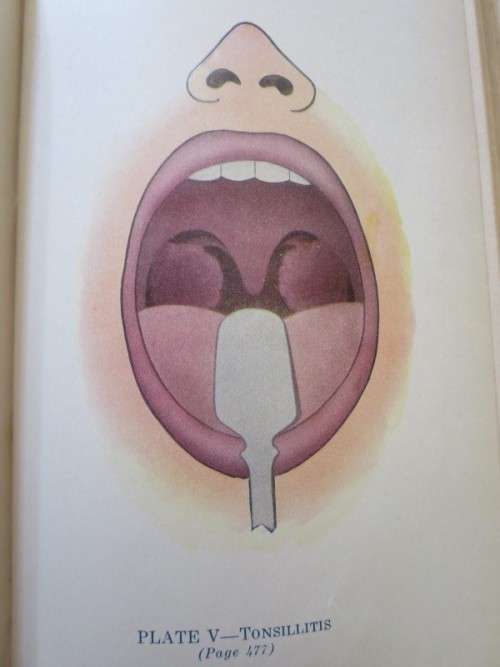 LADIES` HANDBOOK OF HOME TREATMENT (ILLUSTRATED) by Eulalia S. Richards and S. Edin