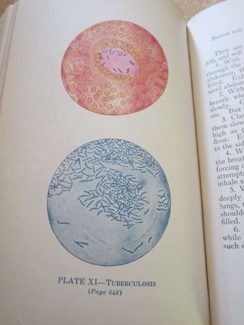 LADIES` HANDBOOK OF HOME TREATMENT (ILLUSTRATED) by Eulalia S. Richards and S. Edin