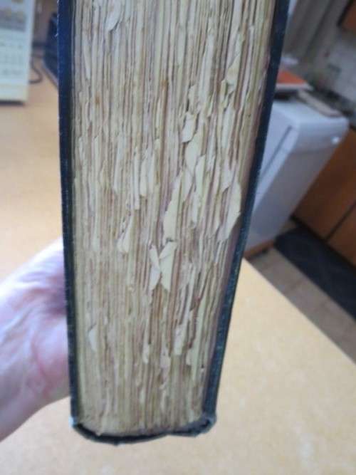THE WORLD`S STORY  A simple history for boys and girls  by Elizabeth O`Neill