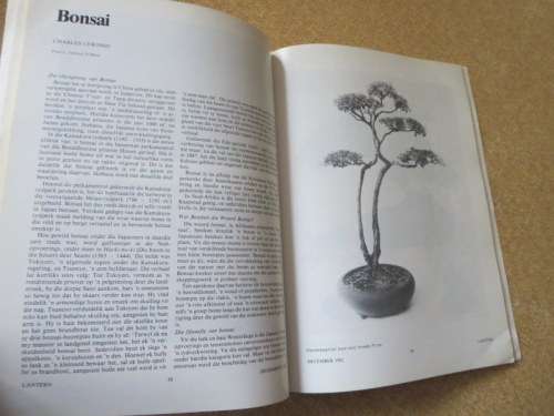 LANTERN MAGAZINE: VOLUME XXXII NO 1  DESEMBER 1982