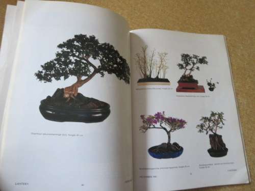 LANTERN MAGAZINE: VOLUME XXXII NO 1  DESEMBER 1982
