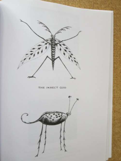 FIFTEEN BOOKS AMPHIGOREY  by Edward Gorey
