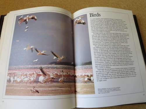 THE MYSTERY OF MIGRATION   by Dr Robin Baker