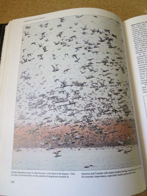 THE MYSTERY OF MIGRATION   by Dr Robin Baker