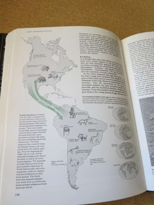 THE MYSTERY OF MIGRATION   by Dr Robin Baker
