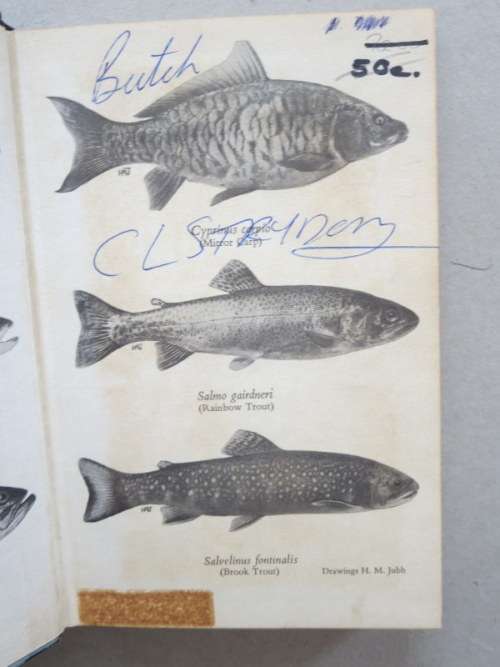FRESH-WATER FISH AND FISHING IN AFRICA  by A.C. Harrison and others