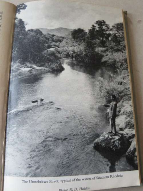 FRESH-WATER FISH AND FISHING IN AFRICA  by A.C. Harrison and others