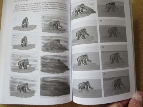 FROZEN IN TIME  by Michael Oard Woolly Mammoths, Ice Age and Biblical key to their secrets