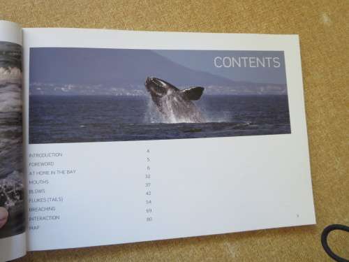HERMANUS WHALES  Photography: Dave de Beer  (SIGNED)