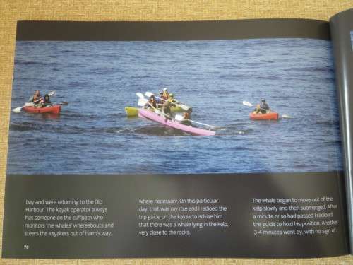 HERMANUS WHALES  Photography: Dave de Beer  (SIGNED)