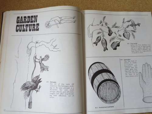 CARELMAN CATALOGUE OF EXTRAORDINARY OBJECTS