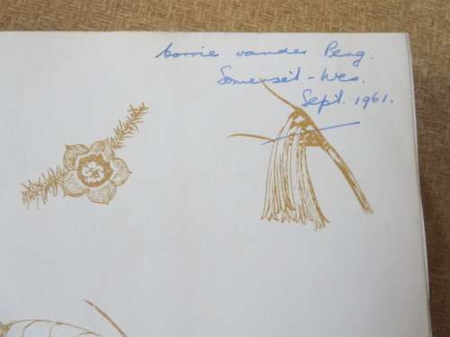 SOUTH AFRICAN WILD FLOWERS FOR THE GARDEN by Sima Eliovson