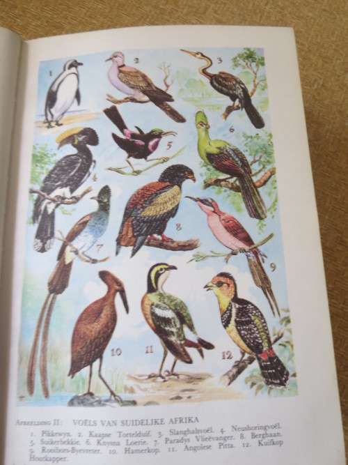 2 X ERIC ROSENTHAL:  Ensiklopedie van SUIDELIKE AFRIKA  Volume 1 (A-L) en 2 (M-Z)