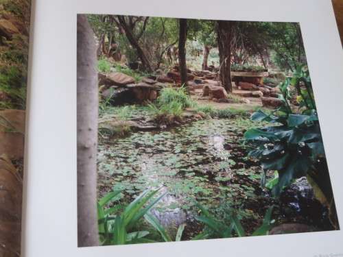 REMARKABLE GARDENS OF SOUTH AFRICA  by Nini Bairnsfather Cloete  Photographer: Craig Fraser