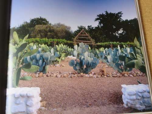 REMARKABLE GARDENS OF SOUTH AFRICA  by Nini Bairnsfather Cloete  Photographer: Craig Fraser