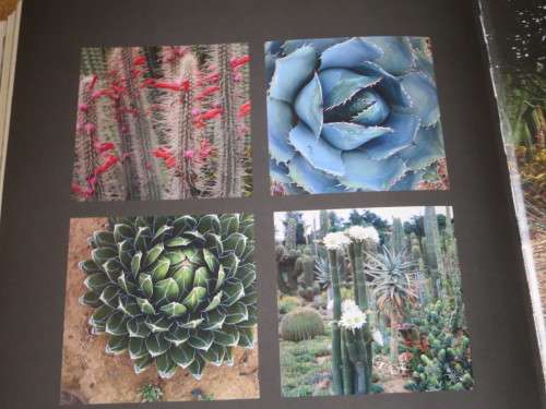 REMARKABLE GARDENS OF SOUTH AFRICA  by Nini Bairnsfather Cloete  Photographer: Craig Fraser