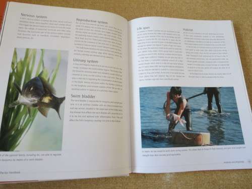 KOI   A handbook on keeping Nishikigoi  by Servaas de Kock and Ronnie Watt