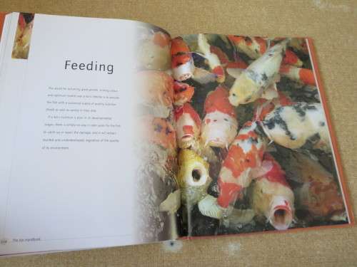 KOI   A handbook on keeping Nishikigoi  by Servaas de Kock and Ronnie Watt