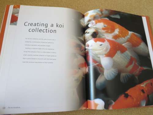 KOI   A handbook on keeping Nishikigoi  by Servaas de Kock and Ronnie Watt