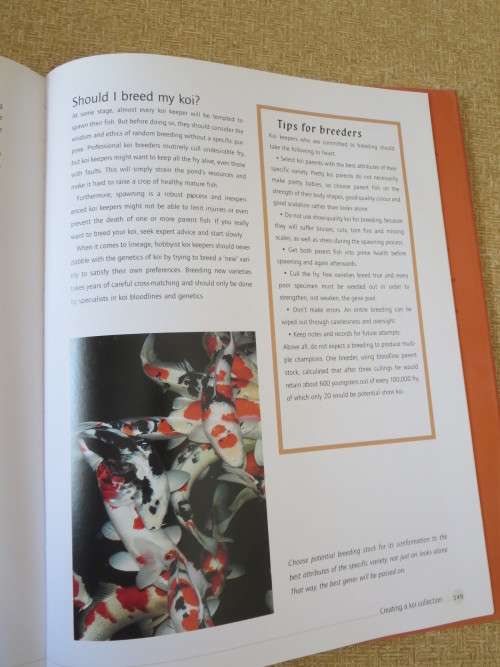 KOI   A handbook on keeping Nishikigoi  by Servaas de Kock and Ronnie Watt