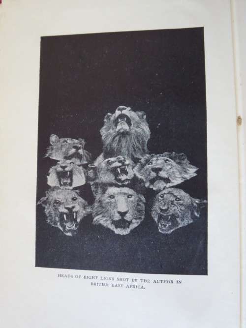 THE MAN-EATERS OF TSAVO  by J. H. Patterson