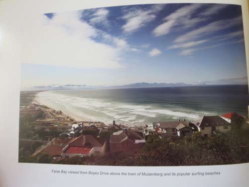 GREAT WHITES OF FALSE BAY SOUTH AFRICA  by Dirk Schmidt