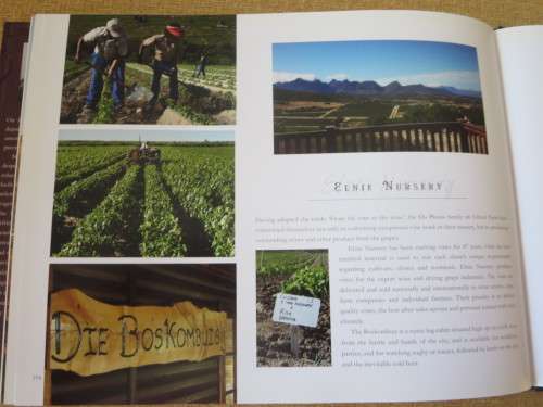 PAARL and WELLINGTON  Gateway to the South African Winelands