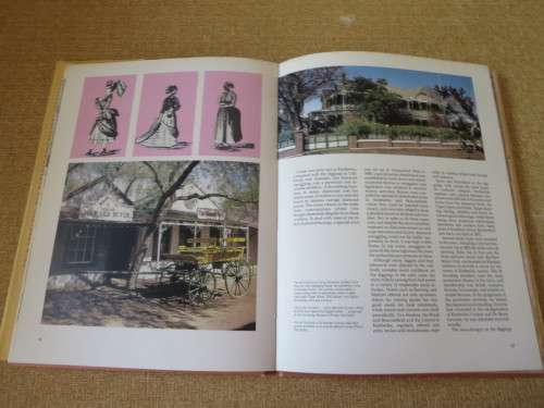 THE DISCOVERY OF WEALTH  by Diko van Zyl  Heritage Series: 19th Century