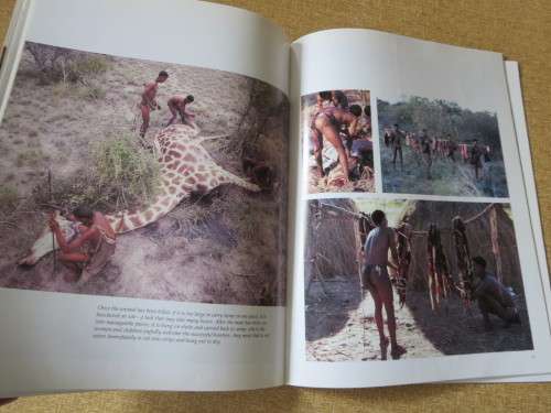 BUSHMEN  Achanging way of life  by David Lewis-William and Anthony Bannister