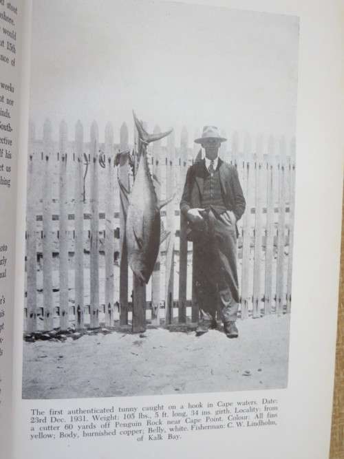 SEA-ANGLING FISHES OF THE CAPE (South Africa)   by C. Leo. Biden