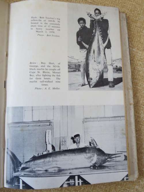 BIG GAME FISHING IN SOUTH AFRICA  by Charles Horne
