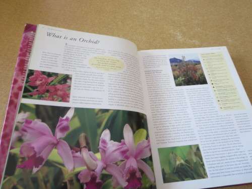 FLORA`S ORCHIDS Definiitive Guide to Orchids  by David P. Banks and Andrew Perkins