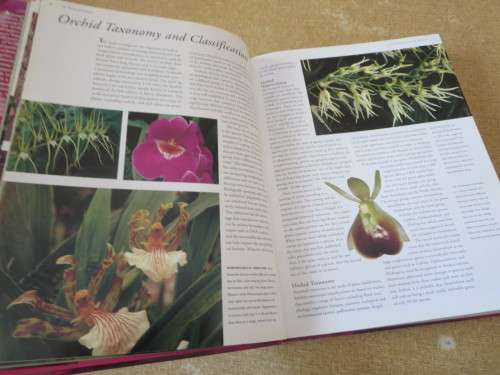 FLORA`S ORCHIDS Definiitive Guide to Orchids  by David P. Banks and Andrew Perkins