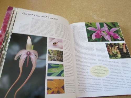 FLORA`S ORCHIDS Definiitive Guide to Orchids  by David P. Banks and Andrew Perkins