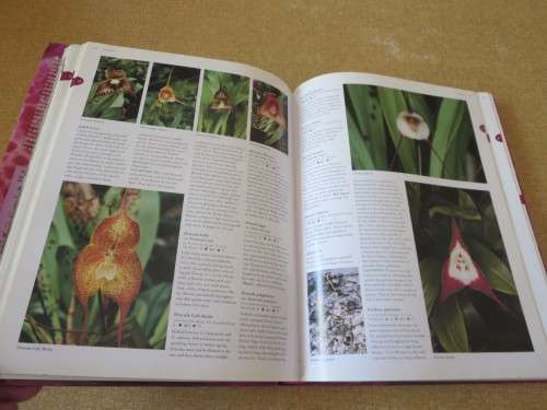 FLORA`S ORCHIDS Definiitive Guide to Orchids  by David P. Banks and Andrew Perkins